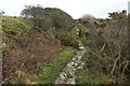 Path to Tregardock