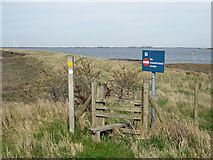 TQ9893 : Access to old sea wall to Wallasea Ness by Robin Webster