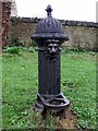 Hydrant on The Green, Acomb