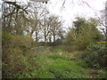 Park View Allotments, Hatch End