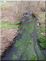 River Burn at Harford Bridge