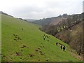 Walkers in Pulham valley