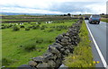 Dry stone wall along Otley Road