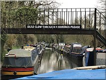 ST7862 : Dead Slow on the Somerset Coal Canal by don cload