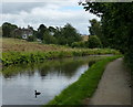 Leeds and Liverpool Canal at Crossflatts