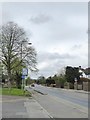 Coombe Lane (A238), SW20: with cycle-lane protected by barrier