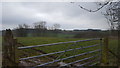 Farmland near Moss Bank