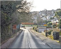 SX9166 : Teignmouth Rd by N Chadwick