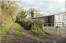 SX8166 : Track near Broadhempston by Derek Harper