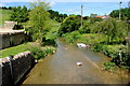 Broadmead Brook, West Kington, Wiltshire 2014