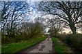 East Devon : Cuckoo Down Lane