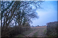 East Devon : Grass Field & Gate