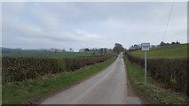 NX7659 : Minor road to Halmyre by Peter Mackenzie
