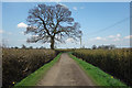 Track off Coningsby Lane