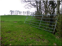 H5371 : An open field, Bancran by Kenneth  Allen