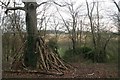 Wood stack by path overlooking Ancaster Valley