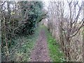 SX8993 : Footpath to Exwick Lane by Peter Holmes