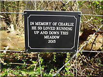 SP8600 : Plaque at Anne's Hill, Prestwood by David Hillas