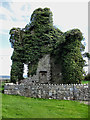 S4378 : Ivy Covered Ruin by kevin higgins