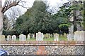 Churchyard, St Mary