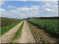 Farm  track  toward  Westfield  Farm