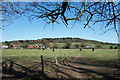 Footpath east of Shalford Mill