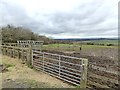 Livestock feeder and a very muddy field