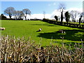 Field with sheep, Tullycunny