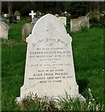 TG2008 : The grave of Edward Arthur Palmer by Evelyn Simak