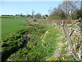 Stream at the end of Crossfield Road