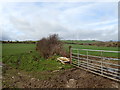 Domestic bath water trough on pastoral land west of Aghlisnafin Road