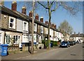 Terraced cottages in Winter Road