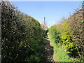 Footpath to Cliff Road