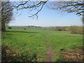 Footpath towards Cold Hiendley