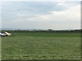 Open grassland at Bradmoor Farm