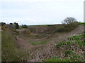 Upper Solva Valley tributary 