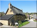 Ilmington Thatched Cottage