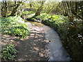 Bagthorpe Brook east of Westwood