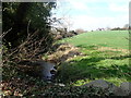 Cumran River above the Manse Road bridge