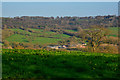 East Devon : Countryside Scenery