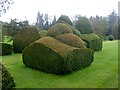 NY4635 : Topiary at Hutton-in-the-Forest by Oliver Dixon