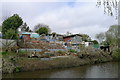 Allotments by the Caldon Canal