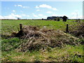 Meaghy Townland