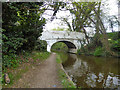 Grand Union Canal bridge 197