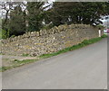 Wayside Cottage drystone wall, Amberley, Gloucestershire