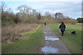 Puddles on the path