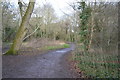 TQ2163 : Woodland footpath by N Chadwick