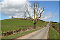 The Old Military Road at Barnbackle