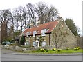 Cottages at the east end of Whalton