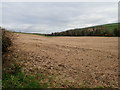 Cropland on the east side of School Road